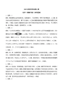 2025届高考化学考向核心卷 湖南专版（word版含解析）