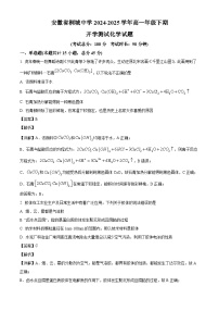 安徽省桐城中学2024-2025学年高一下学期开学测试 化学试题（含解析）