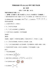 河南省实验中学2024-2025学年高一下学期第一次月考 化学试卷（含解析）