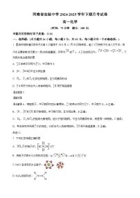 河南省实验中学2024-2025学年高一下学期第一次月考 化学试卷（含解析）