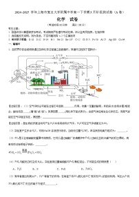 上海市复旦大学附属中学2024-2025学年高一下学期3月月考 化学试题