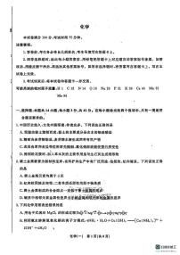 河北省秦皇岛市山海关区部分学校2024-2025学年高三下学期第七次联考化学试卷