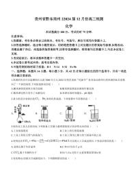 2024届贵州省黔东南州高三上(12月考)-化学试题（含答案）