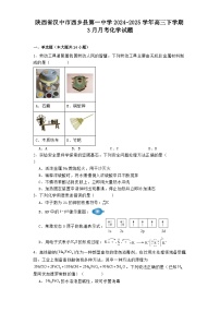 陕西省汉中市西乡县第一中学2024-2025学年高三下学期3月月考 化学试题
