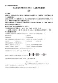 华大新高考联盟2025届高三11月教学质量测评化学试卷+答案