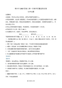 湖南省郴州市2025届高三上学期第一次教学质量监测（一模） 化学试题 含解析