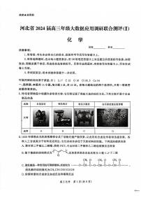 2024届河北省高三上学期大数据应用调研联合测评（Ⅱ）(12月考)-化学试题（含答案）