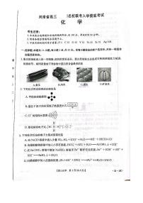 2024届河南省高三上学期开学考试-化学试题（含答案）
