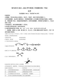 2024届河南省高三上学期期末考试(1月)-化学试题（含答案）