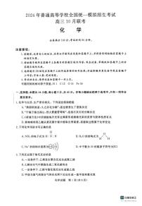2024届河南省新未来联考高三上学期10月考试-化学试题（含答案）