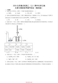 2024北京重点校高二（上）期中真题化学汇编：元素与物质世界章节综合（鲁科版）