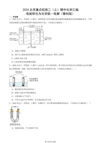 2024北京重点校高二（上）期中真题化学汇编：电能转化为化学能—电解（鲁科版）