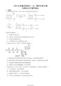 2024北京重点校高三（上）期中真题化学汇编：生物大分子章节综合