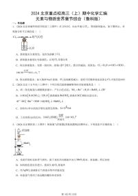 2024北京重点校高三（上）期中真题化学汇编：元素与物质世界章节综合（鲁科版）