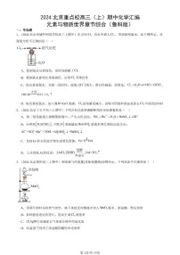2024北京重点校高三（上）期中真题化学汇编：元素与物质世界章节综合（鲁科版）