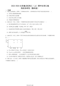 2022-2024北京重点校高三（上）期中真题化学汇编：铁的多样性（鲁科版）