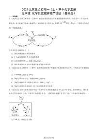 2024北京重点校高一（上）期中真题化学汇编：化学键 化学反应规律章节综合（鲁科版）