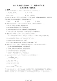 2024北京重点校高一（上）期中真题化学汇编：铁的多样性（鲁科版）