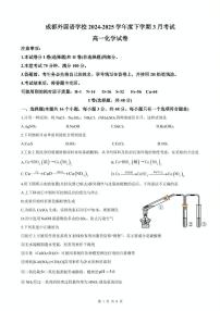 四川省成都外国语学校2024-2025学年高一下学期3月月考化学试题（含答案）