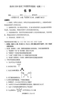 2024届湖南省株洲市高三上学期教学质量统一检测（一）-化学试题（含答案）