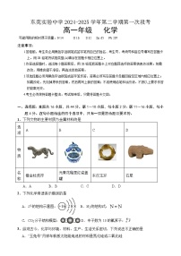 广东省东莞市实验中学2024-2025学年高一下学期3月月考化学试题（Word版附答案）