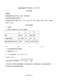 湖北省武汉市第三中学2024-2025学年高二下学期3月月考化学试题（Word版附解析）