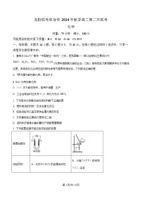 湖南省长沙市名校联考联合体2024-2025学年高二上学期第一次月考化学试卷（Word版附解析）