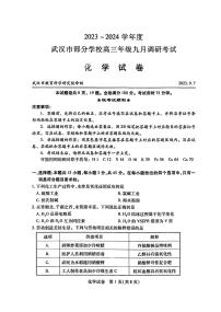 2024届湖北省武汉市高三九月调研考试-化学试题（含答案）