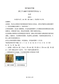 广东省湛江市2025届高三下学期第一次调研考试化学试卷 含解析