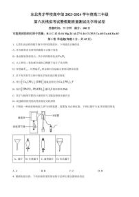2024届辽宁省沈阳市东北育才高三下学期第六次模考(3月)-化学试卷（含答案）