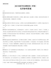 名校教研联盟2025届高考仿真模拟卷（样卷）化学试卷及参考答案含答题卡
