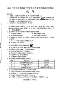 2025届贵州省统测高三下学期4月适应性考试化学试题+答案