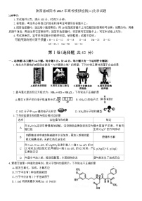 陕西省咸阳市2024-2025学年高三下学期高考模拟检测(二)化学试题（含答案）