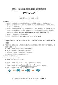 安徽省合肥一中2024-2025学年度高二上学期期末(1月) 化学A试卷（含答案）