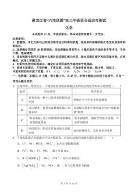 黑龙江省“六校联盟”2025届高三上学期联合适应性考试化学试卷（含答案）