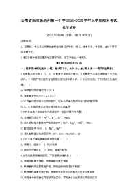 云南省西双版纳州第一中学2024-2025学年高一上学期期末考试 化学试题