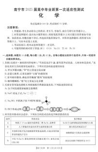 2025年1月广西12市高三调研考试 化学试卷（含答案）