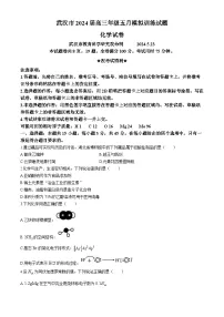 湖北省武汉市2024届高三下学期5月模拟训练化学试卷 含答案