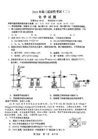 2025届江苏省南通市如皋市高三下学期高考适应性考试（二）化学试卷（含答案）