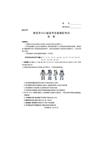 娄底市2025届高考仿真模拟考试（娄底一模）化学试卷含答案