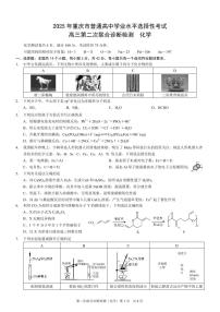 重庆市2025届高三下学期二诊（康德二诊）化学试卷（PDF版附解析）