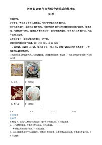 2025年1月河南省普通高等学校招生考试适应性测试（八省联考）化学试题 Word版含解析