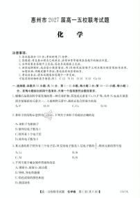 广东省惠州市五校2024-2025学年高一下学期4月联考化学试卷（PDF版附解析）