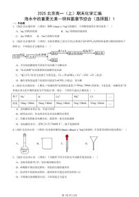 2025北京高一（上）期末真题化学汇编：海水中的重要元素~钠和氯章节综合（选择题）1