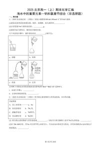 2025北京高一（上）期末真题化学汇编：海水中的重要元素~钠和氯章节综合（非选择题）