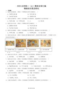 2025北京高一（上）期末真题化学汇编：物质的分类及转化