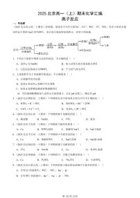 2025北京高一（上）期末真题化学汇编：离子反应