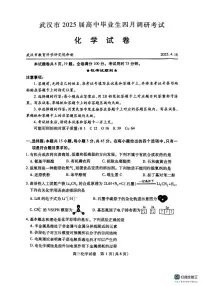 2025届湖北省武汉市高三四月调研考试化学试题（含答案）