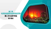 人教版 (2019)化学平衡试讲课课件ppt