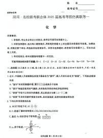 湖南名校联考联合体2025届高考考前仿真模拟联考(一) 化学试题+答案